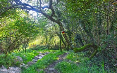 hotel mirotza orio guipuzkoa pagoeta jpg